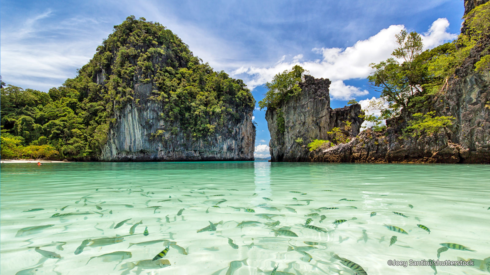 Phuket itinerary role